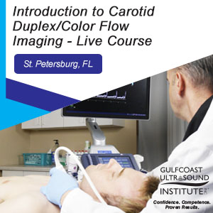  Introduction to Carotid Duplex/Color Flow Imaging